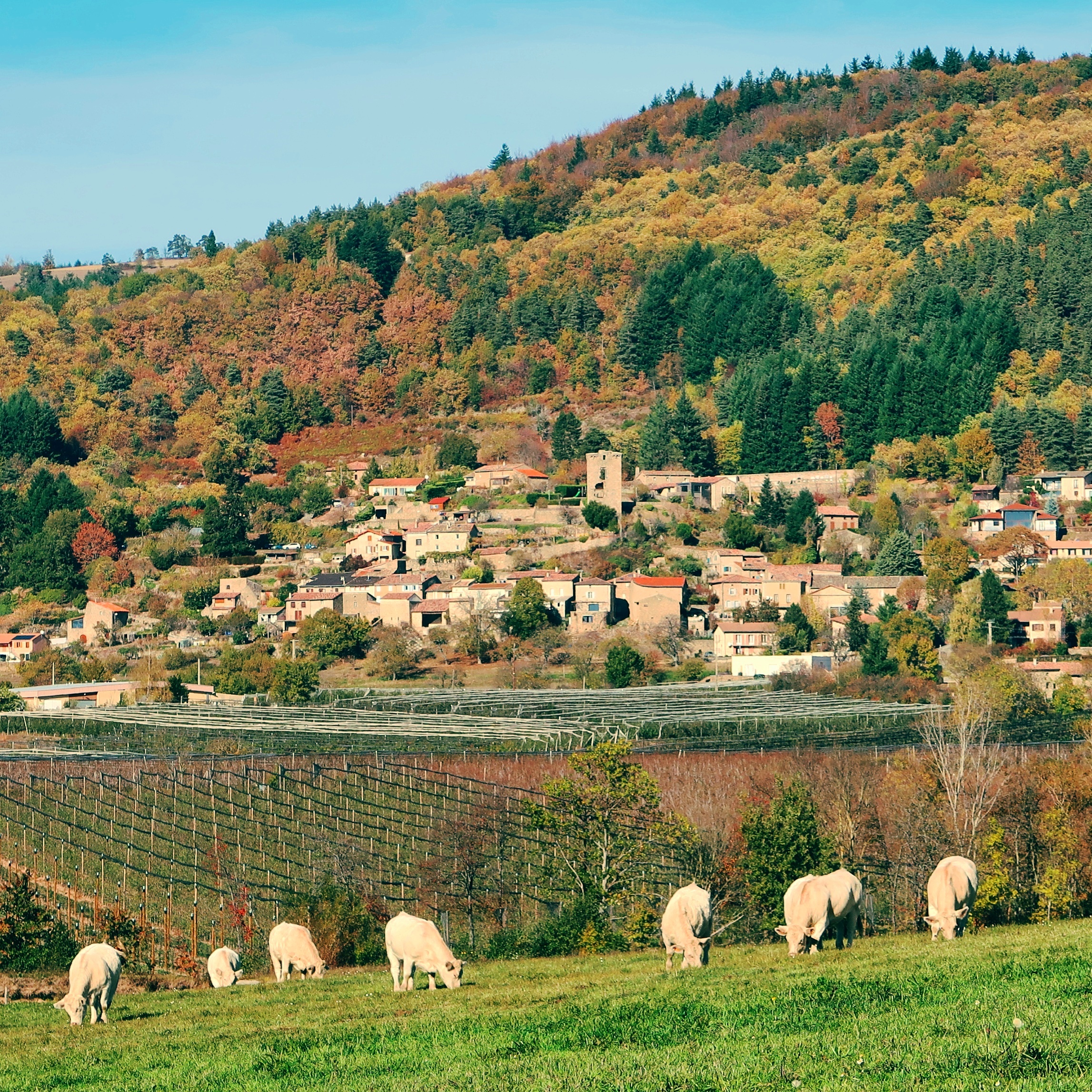 Vue sur le village de Châteauneuf-de-Vernoux