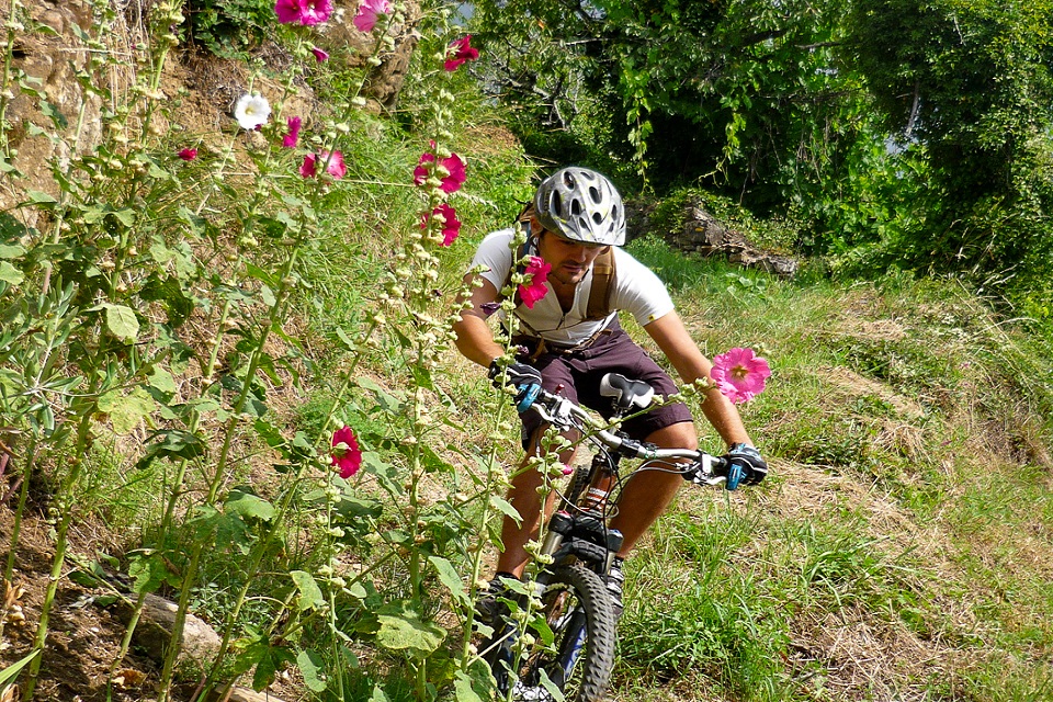 VTT dans le Pays des Vans