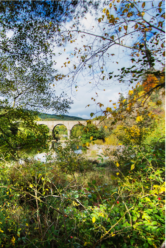 Vazeilles - Pont de Laborie