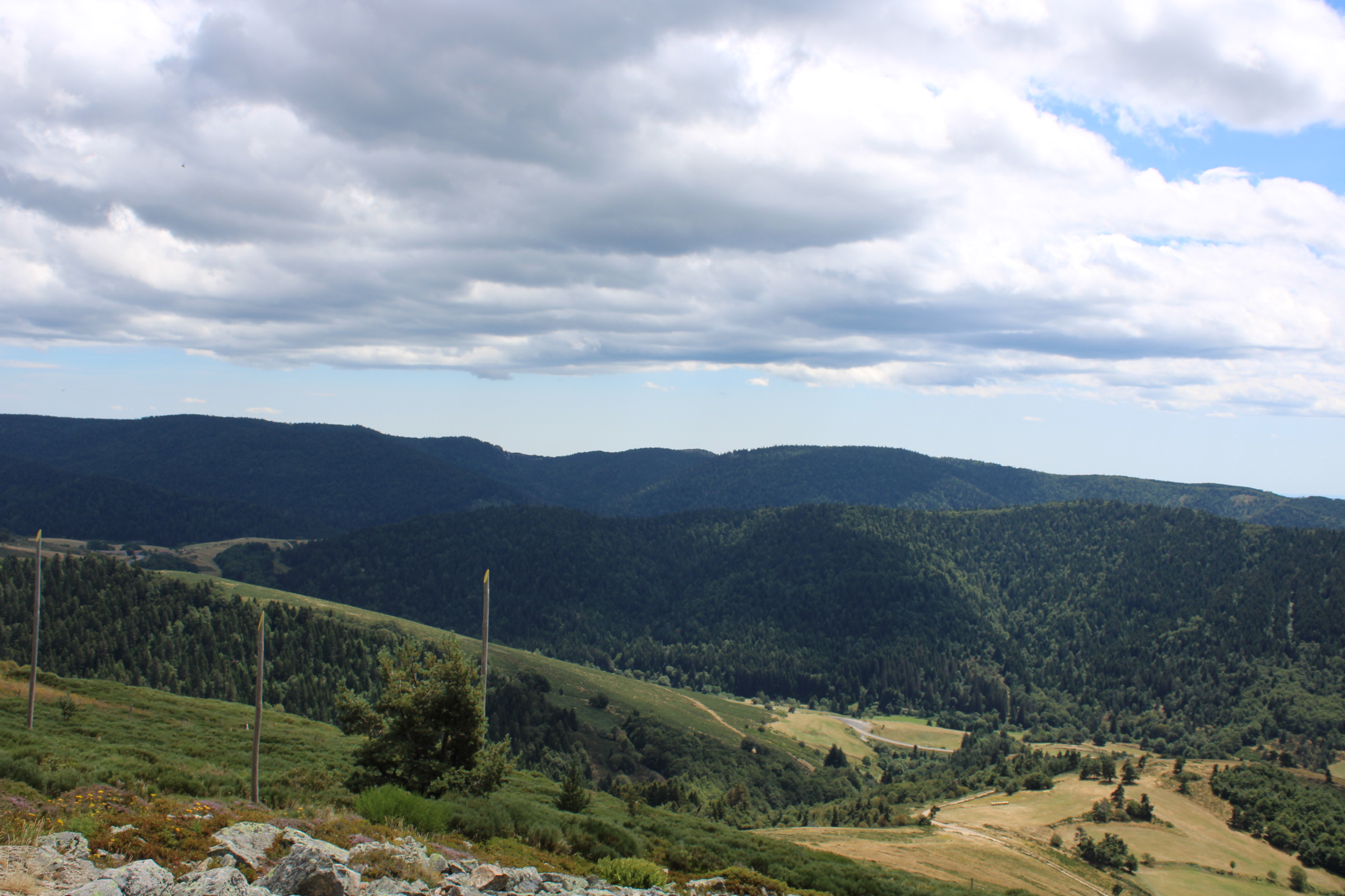 Mires
