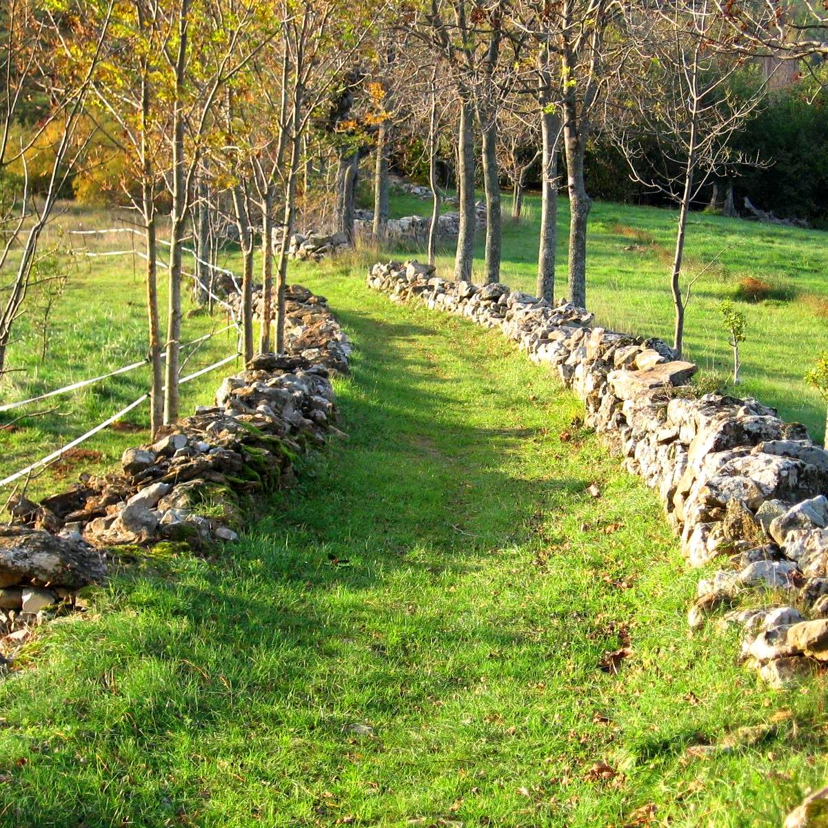 Chemin à proximité du hameau Vaneilles