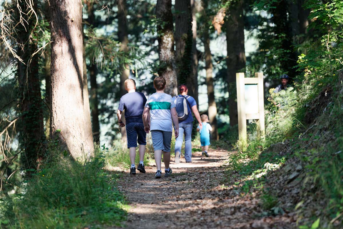Bois de la Chèze