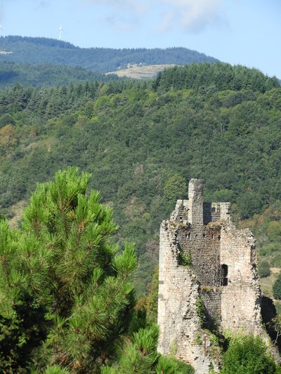 Ruines de Peychelard