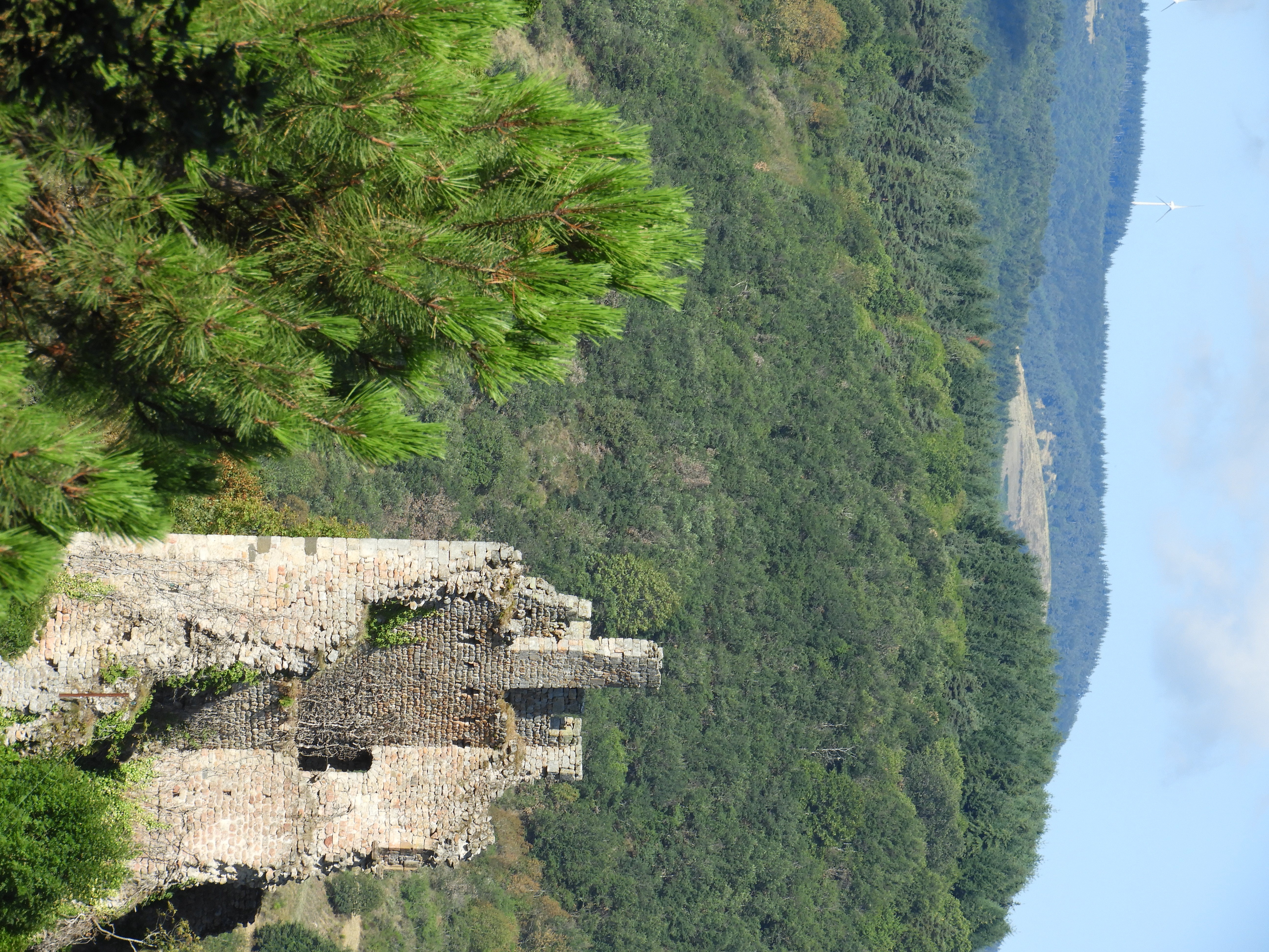 Ruines de Peychelard