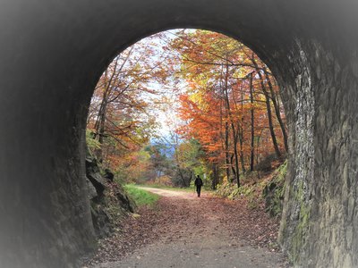 Tunnel sur Intres