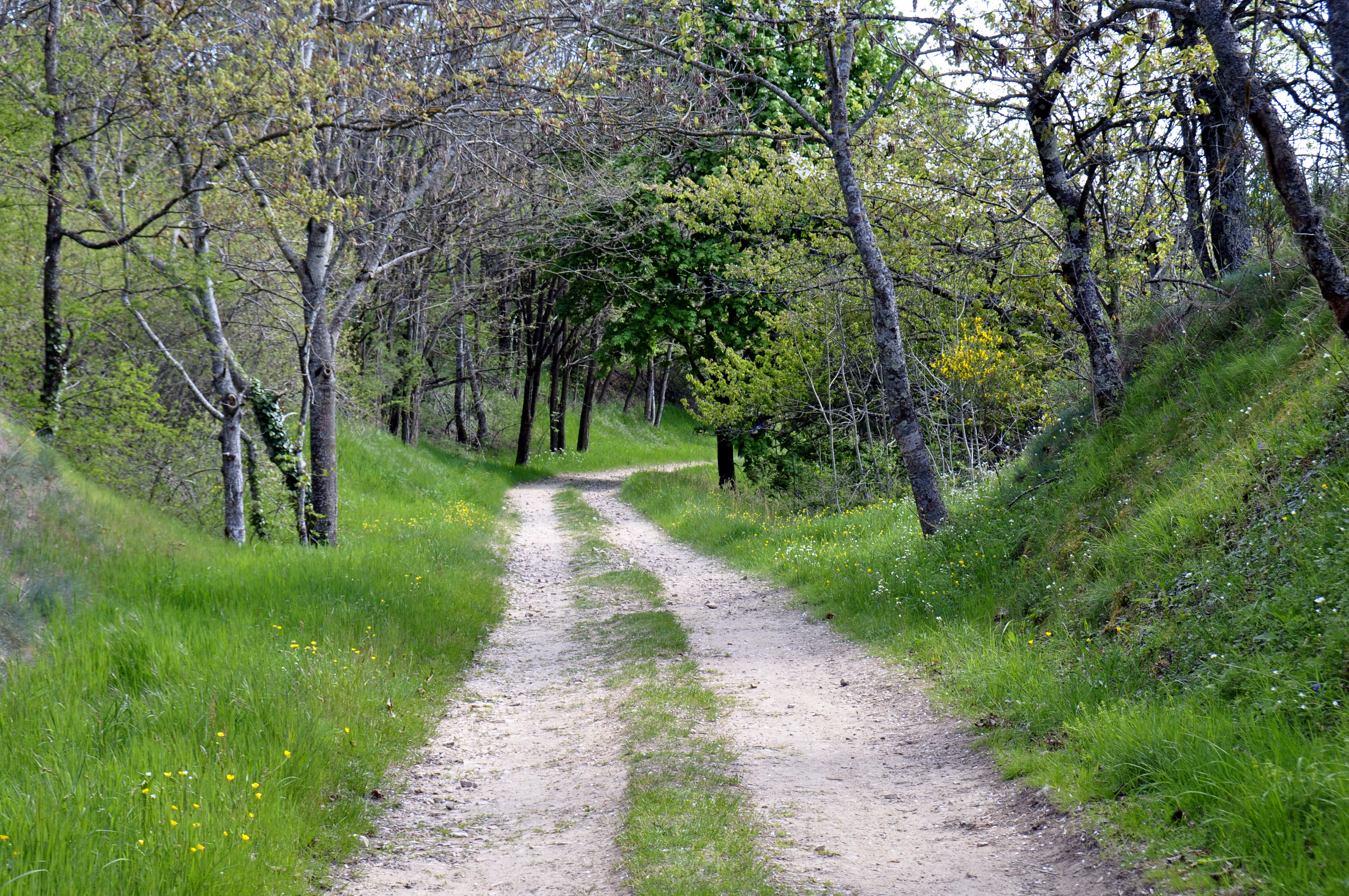 Sentier