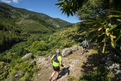 Trail Beaume Drobie