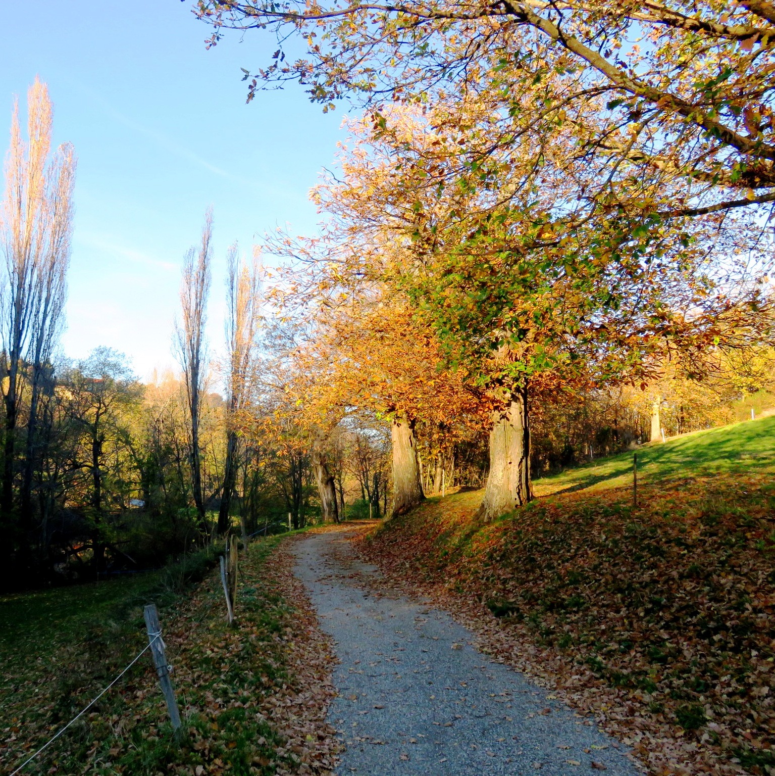 Sur la Route de Serre Long, entre Silhac et Chalencon