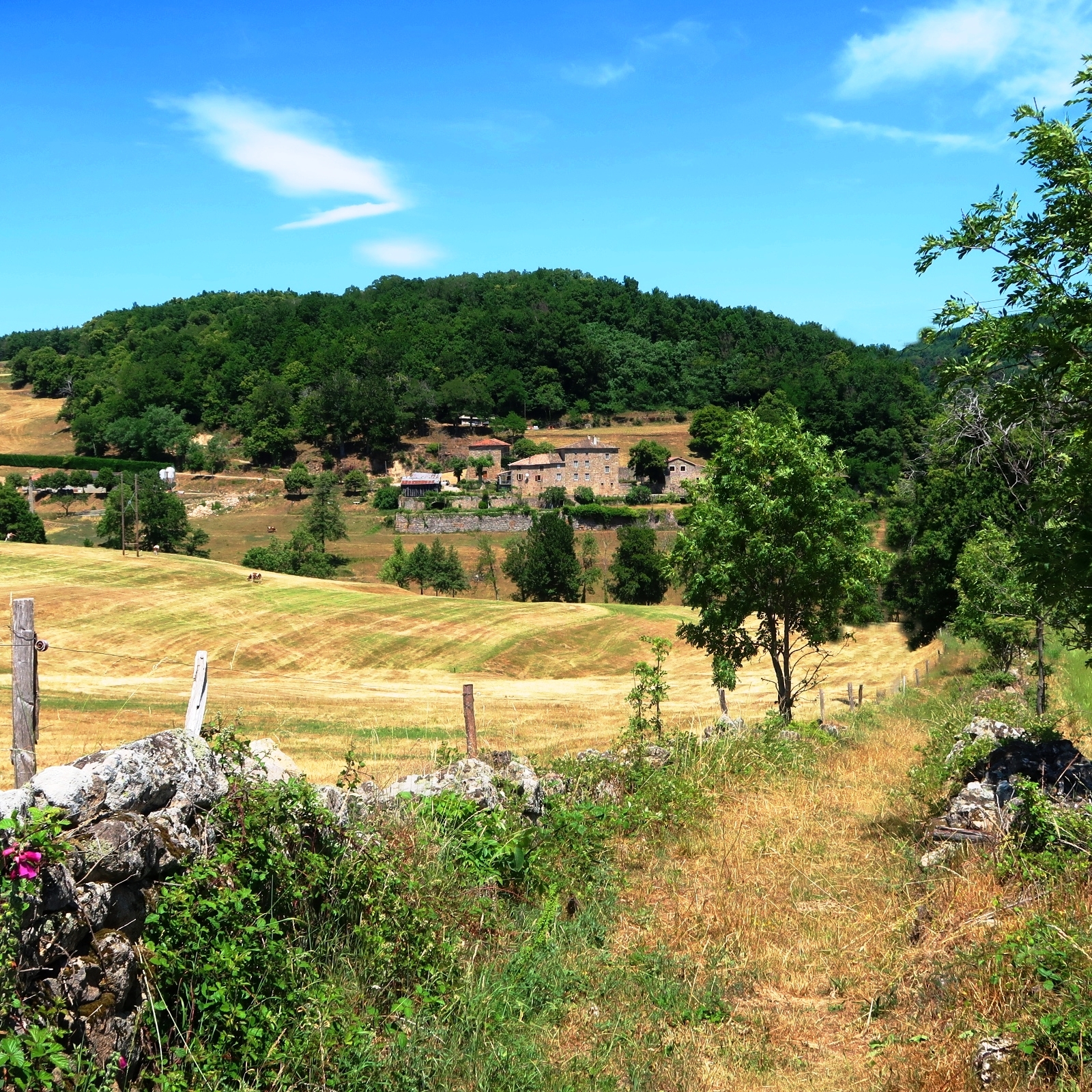 Sur le sentier aux abords du hameau Saigne-Brus