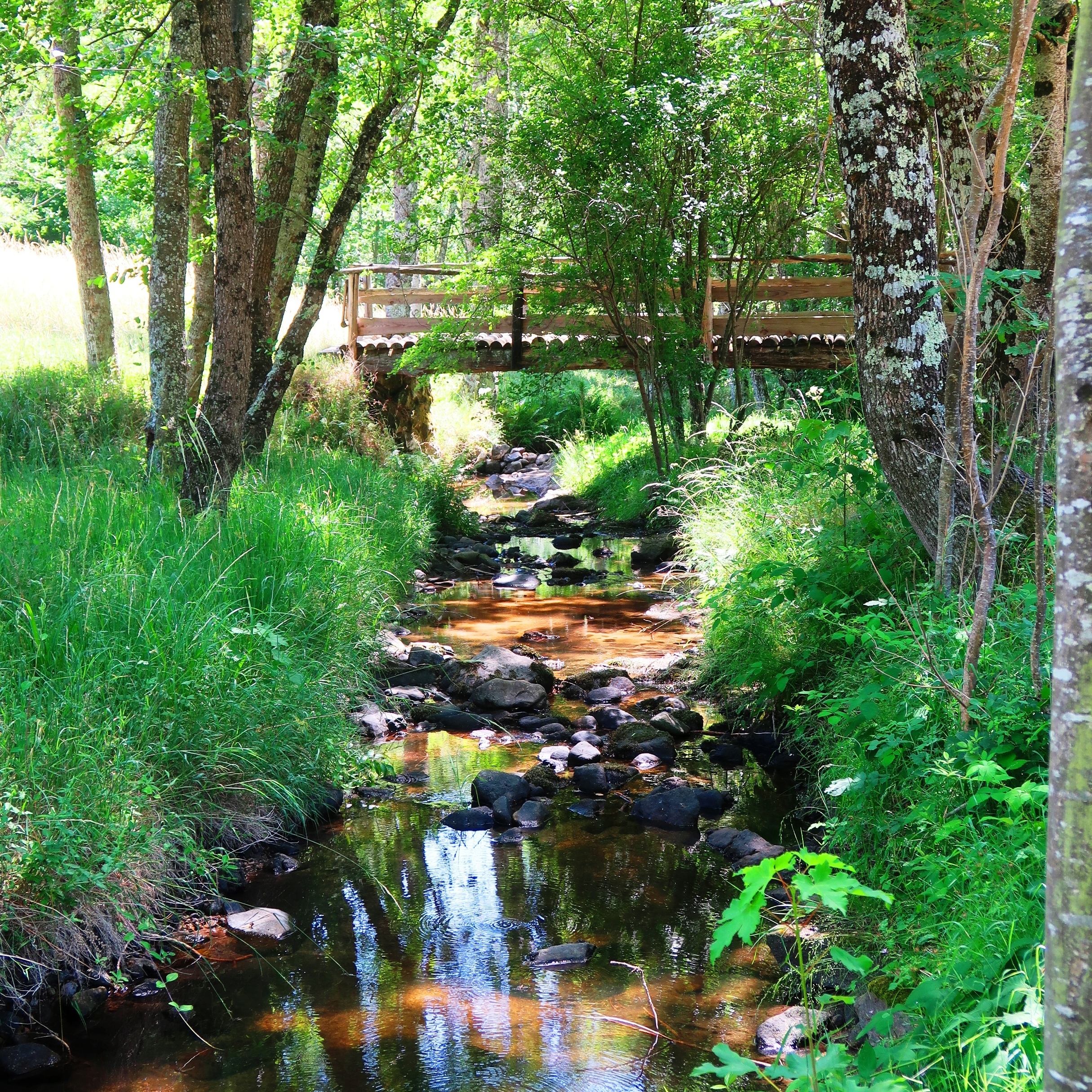 La rivière Le Verdayer aux abords du hameau Gamare