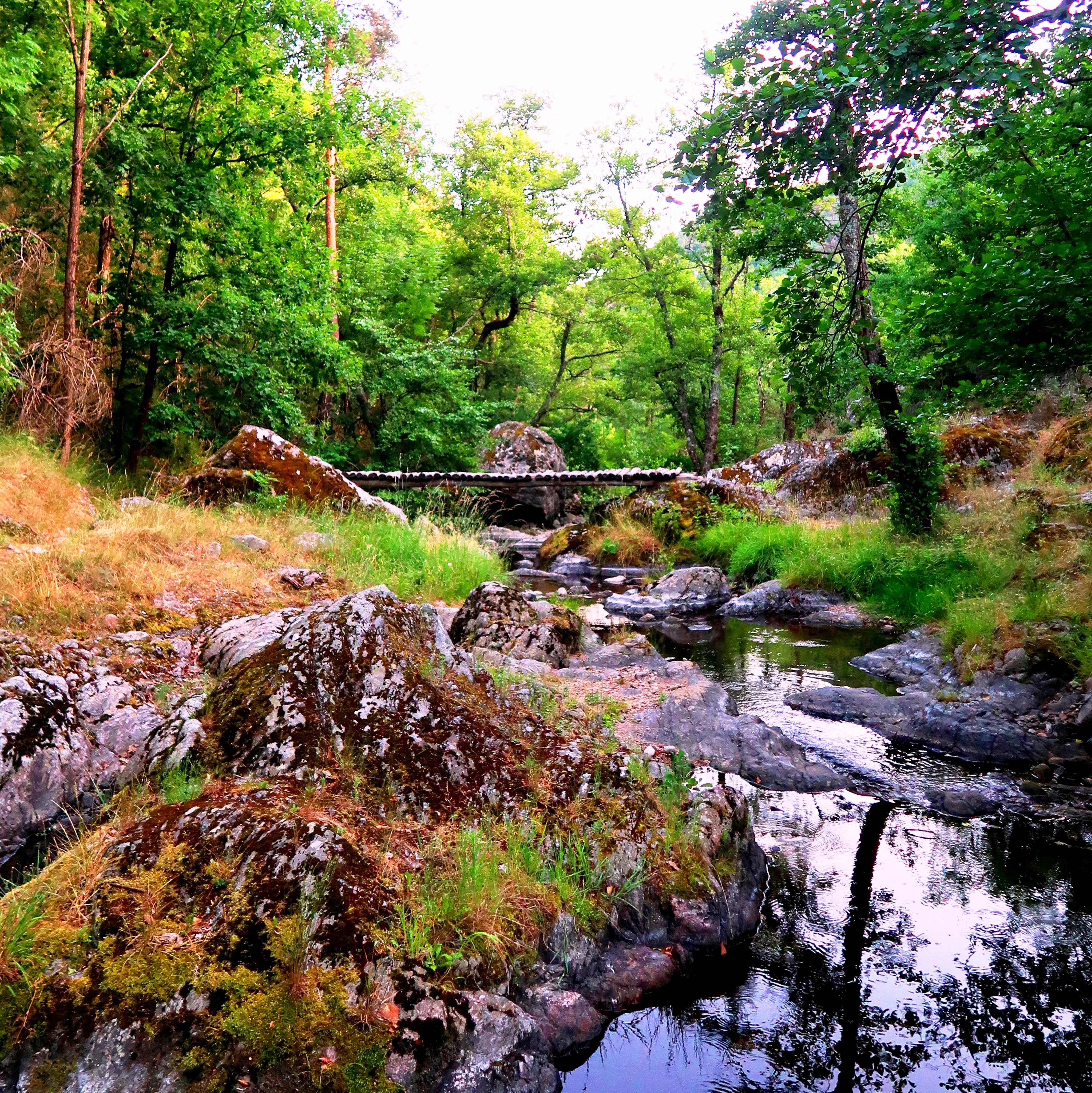 La rivière L'Ève entre Saint-Julien-le-Roux et Vernoux-en-Vivarais