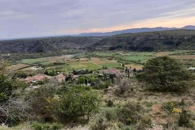 La colline des oliviers