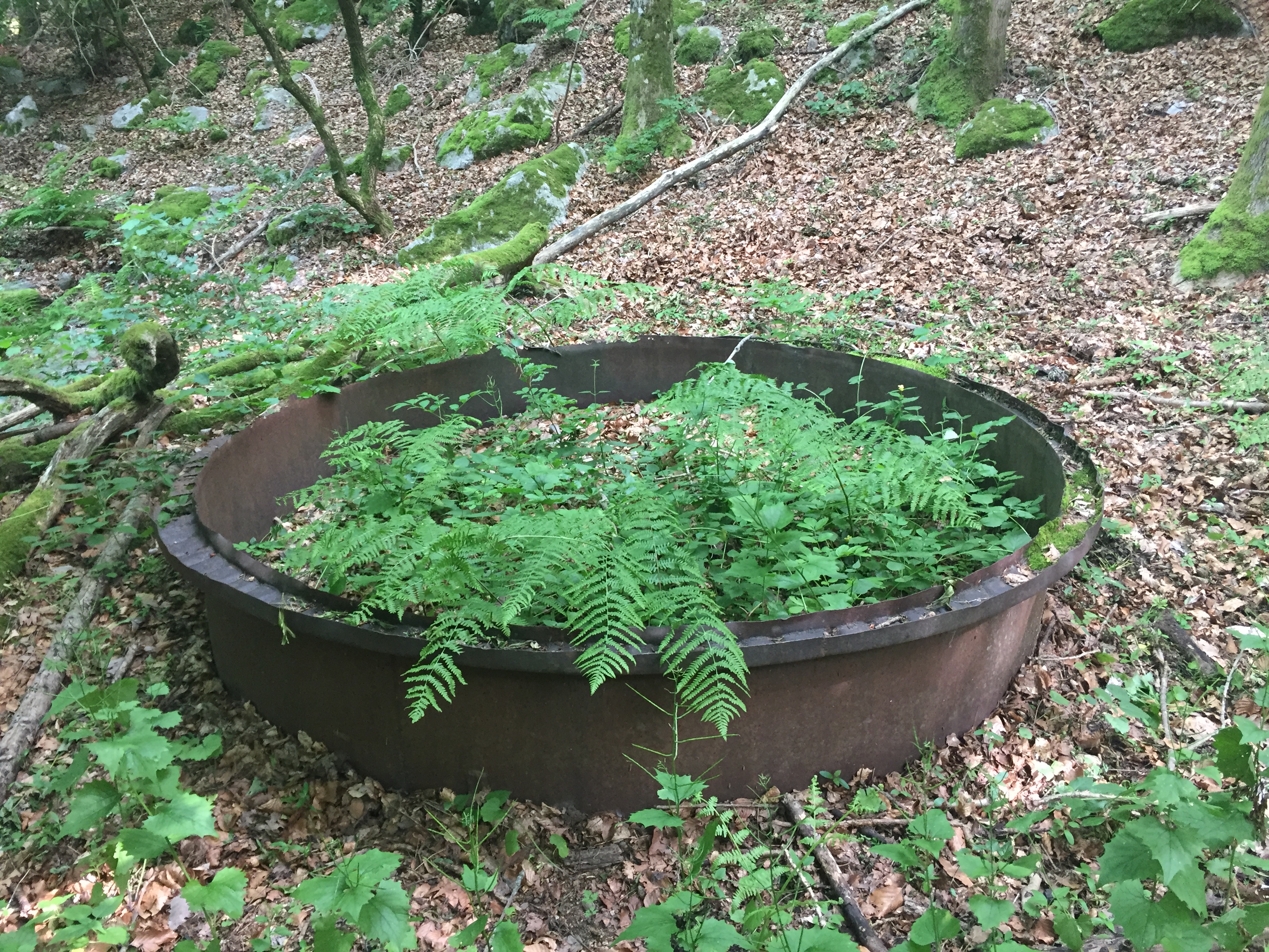 chaudron de charbonnage sous le chemin de Rouyon