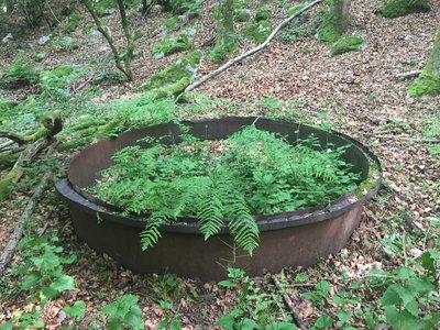 chaudron de charbonnage sous le chemin de Rouyon