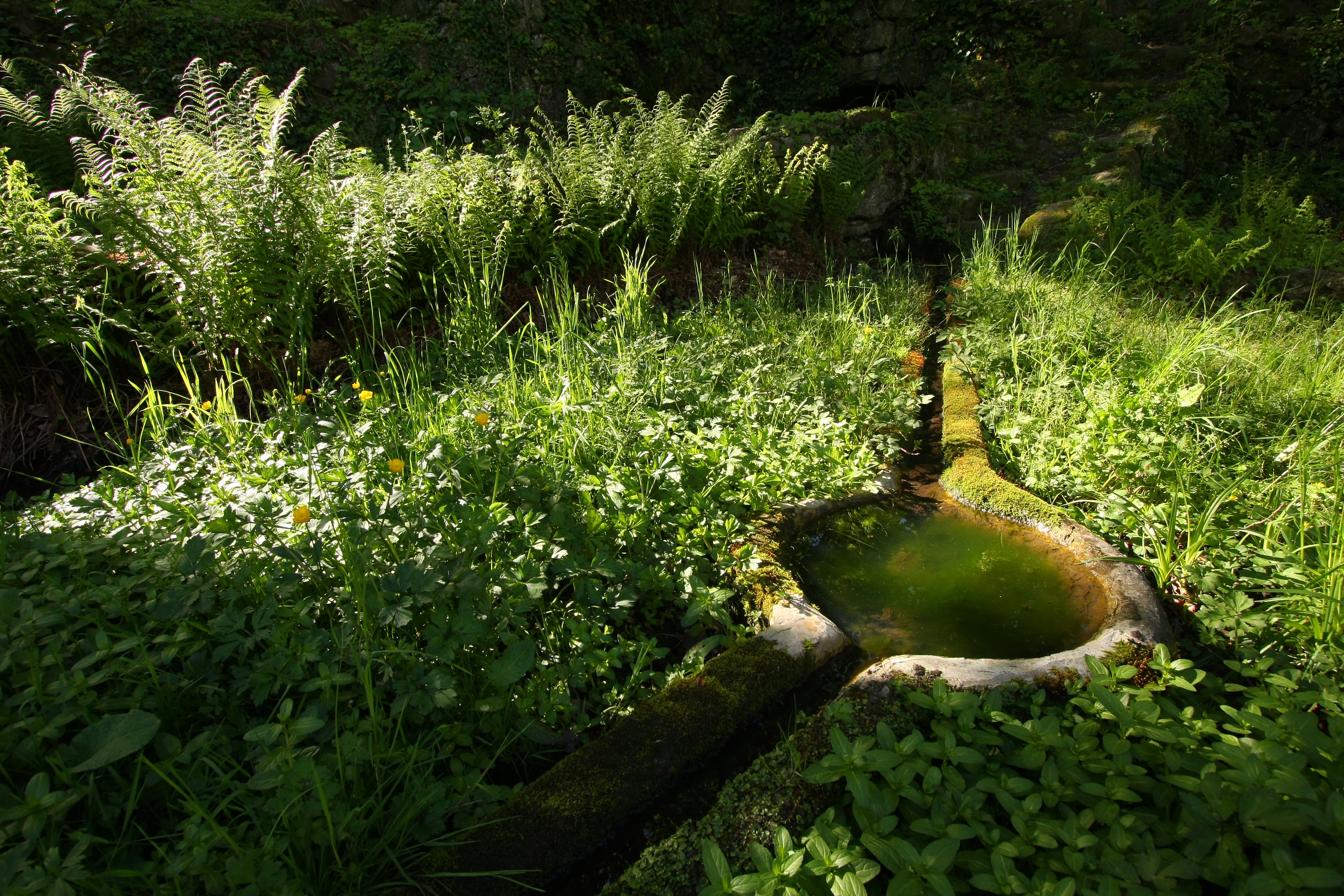 système d'irrigation au sentier des faysses