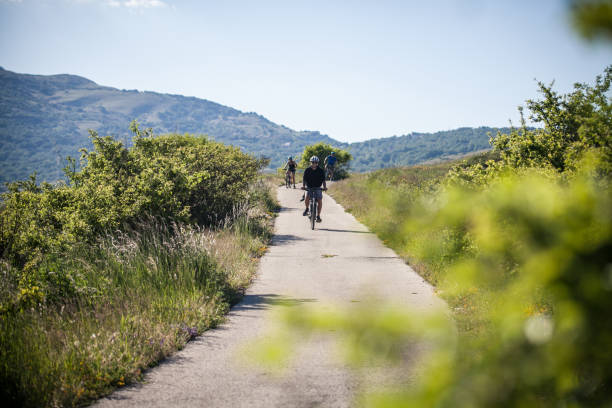 route de St Jean Roure