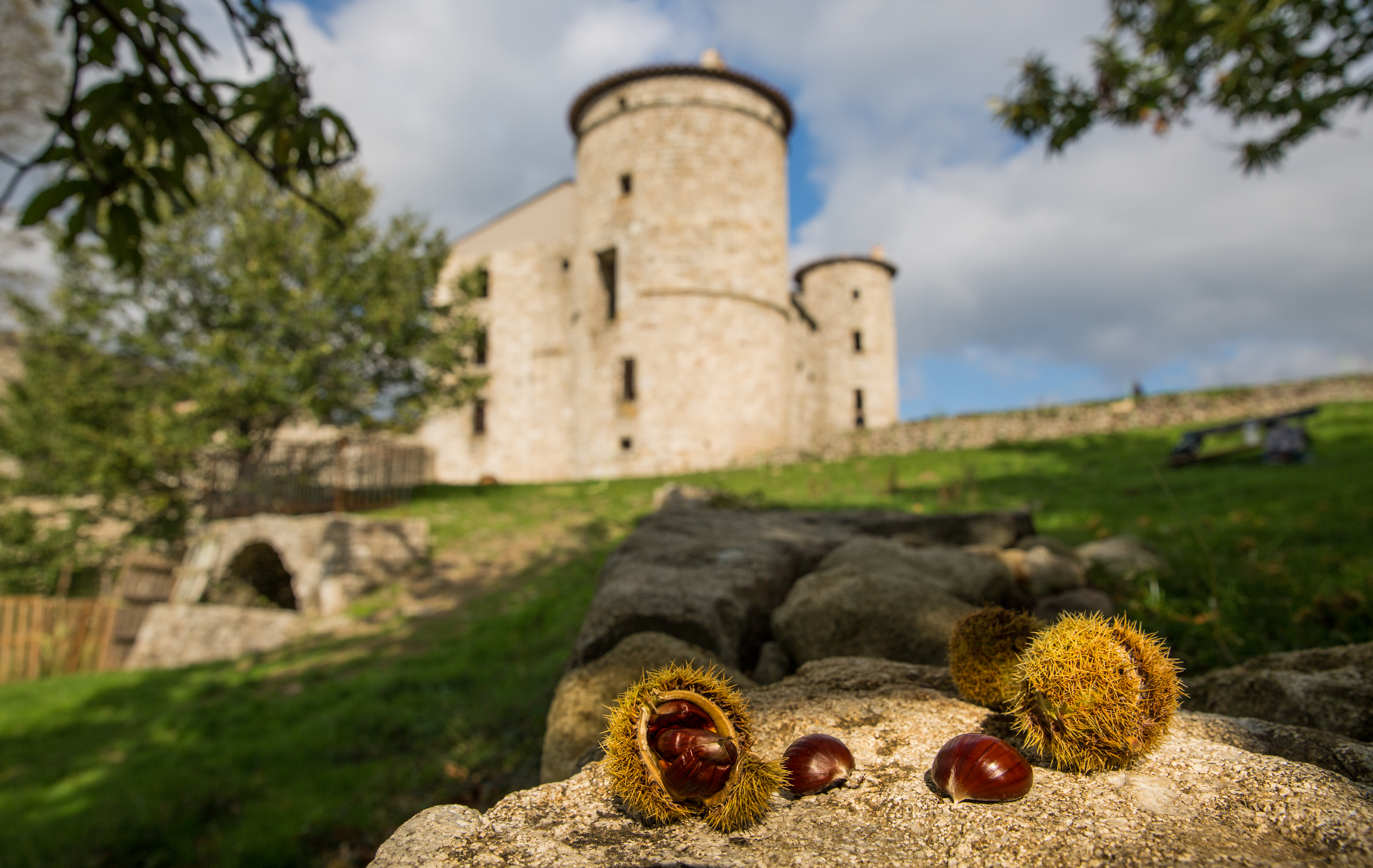 Château de Craux et bogue