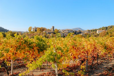 Vue sur Joannas depuis les vignes