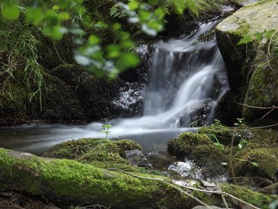 Cascade à La Scie