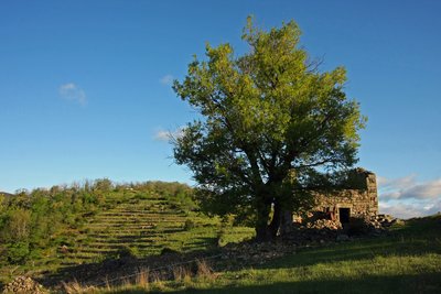 Grange en ruine à La Serre