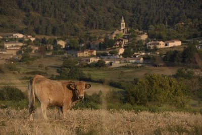 Vue sur le village de Vinzieux