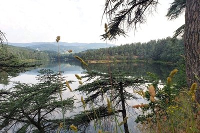 Vue sur le lac du Ternay