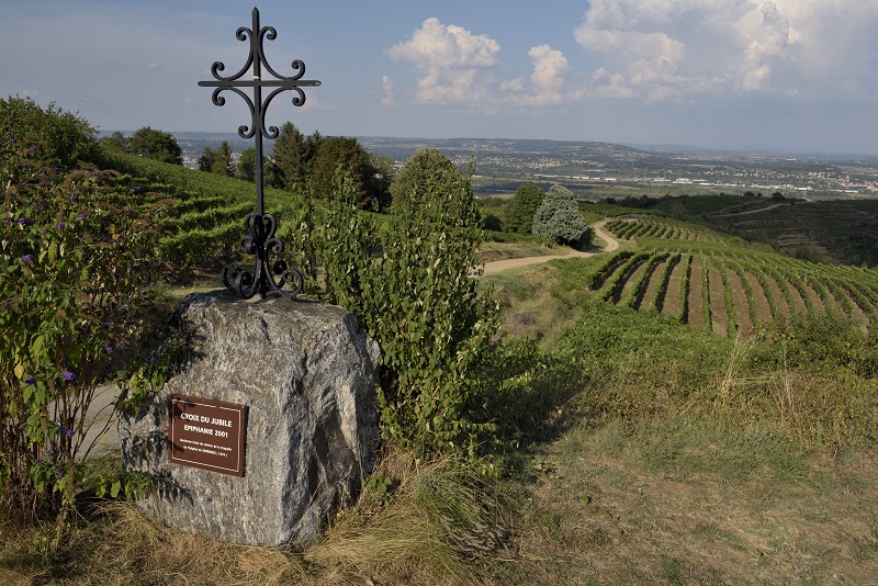 Vignobles depuis Serrières