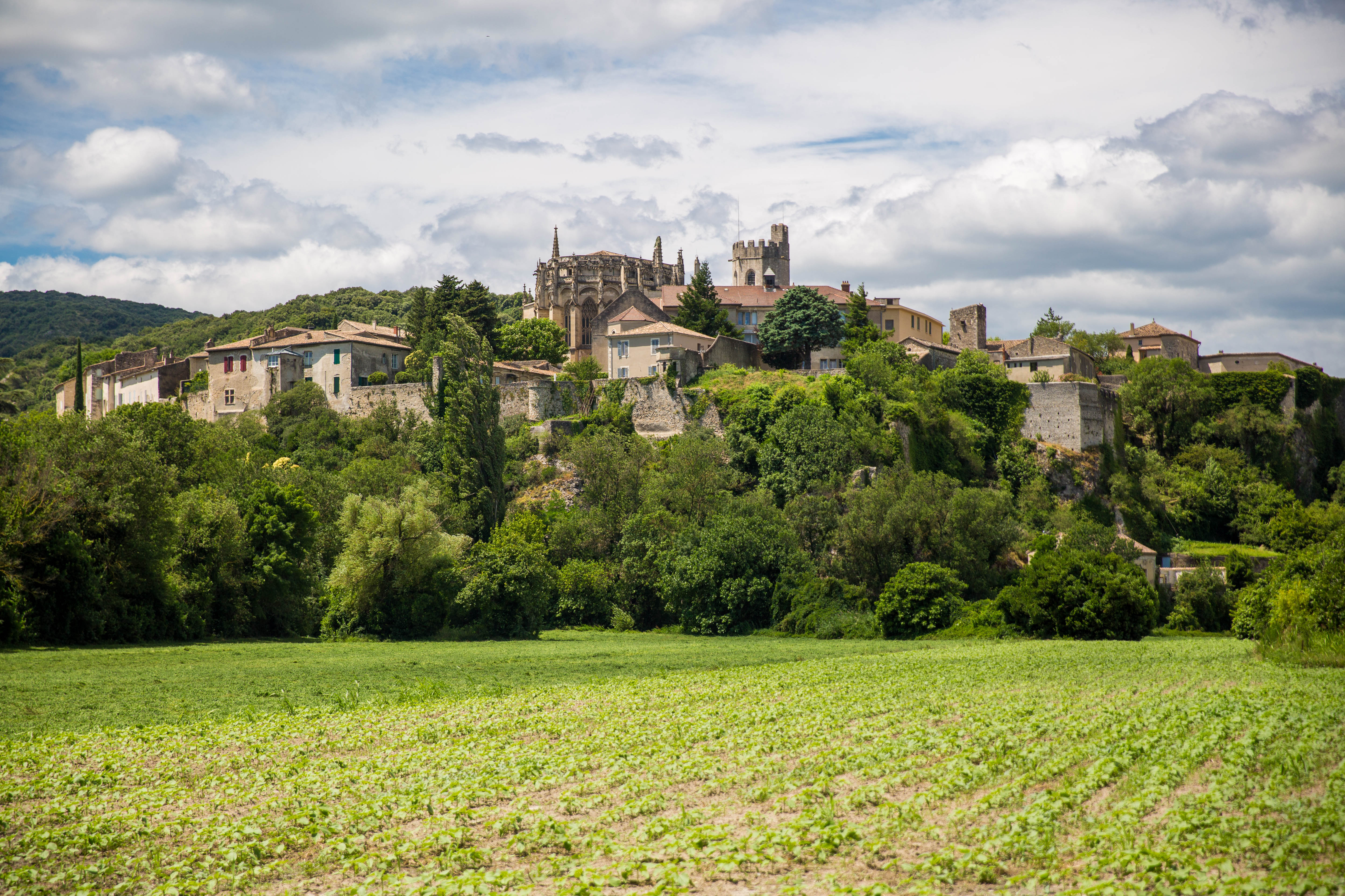 Viviers vu de la rive du Rhône