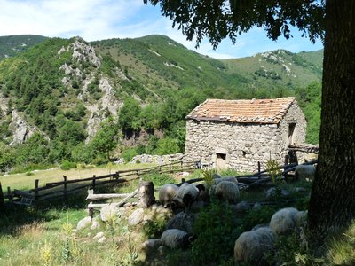Bergerie au bord du chemin à l'Agland