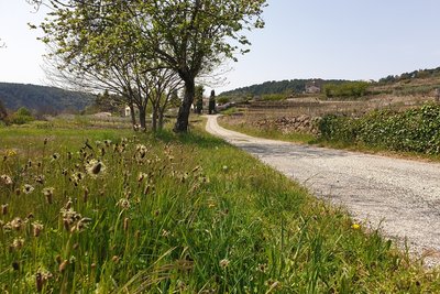Sur les chemins