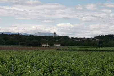 Au loin, le Tanargue