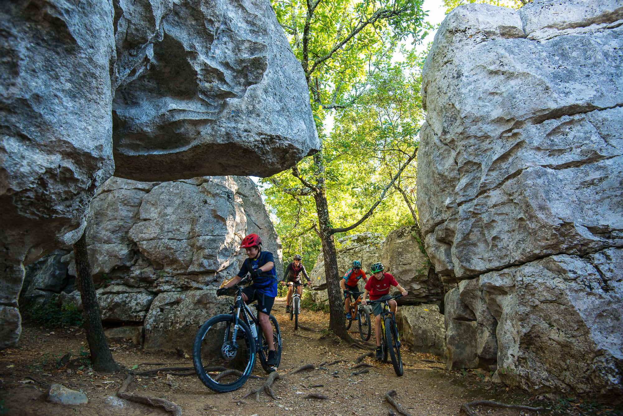 Blocs calcaires Bois de Païolive