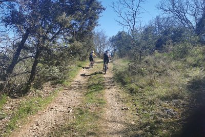Sur les chemins de Banne