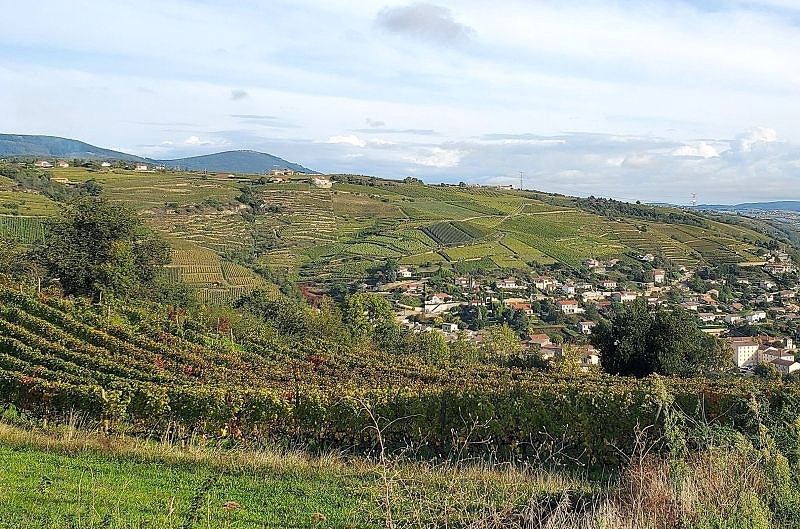 Vue sur Limony