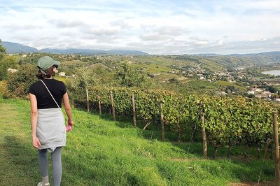 Vue sur la Vallée du Rhône depuis les hauteurs de Limony