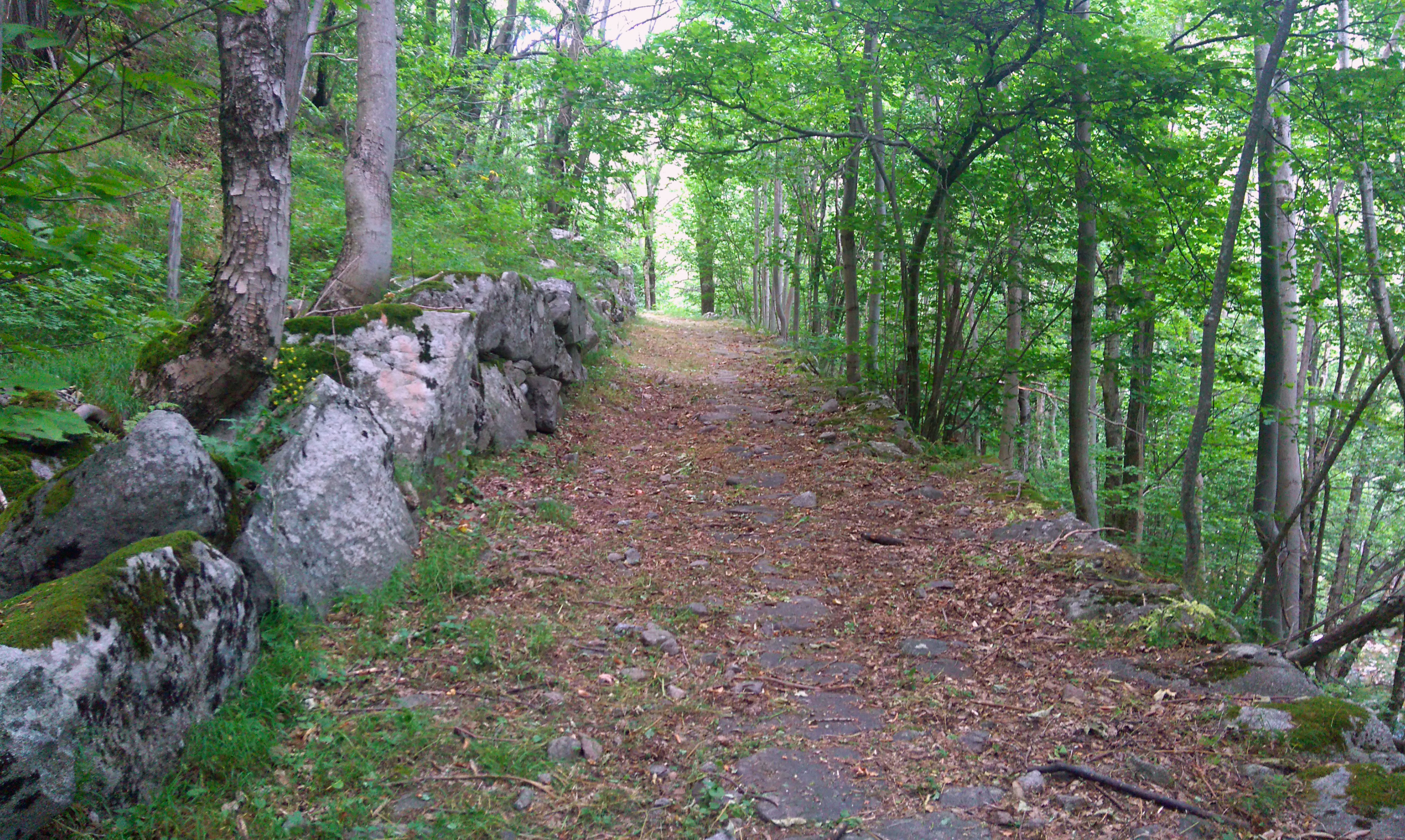 Calade de l'ancienne route de Laviolle à Mézilhac