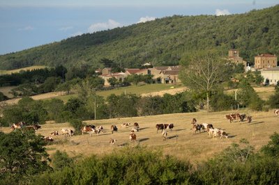 Vue sur le village de Brossainc