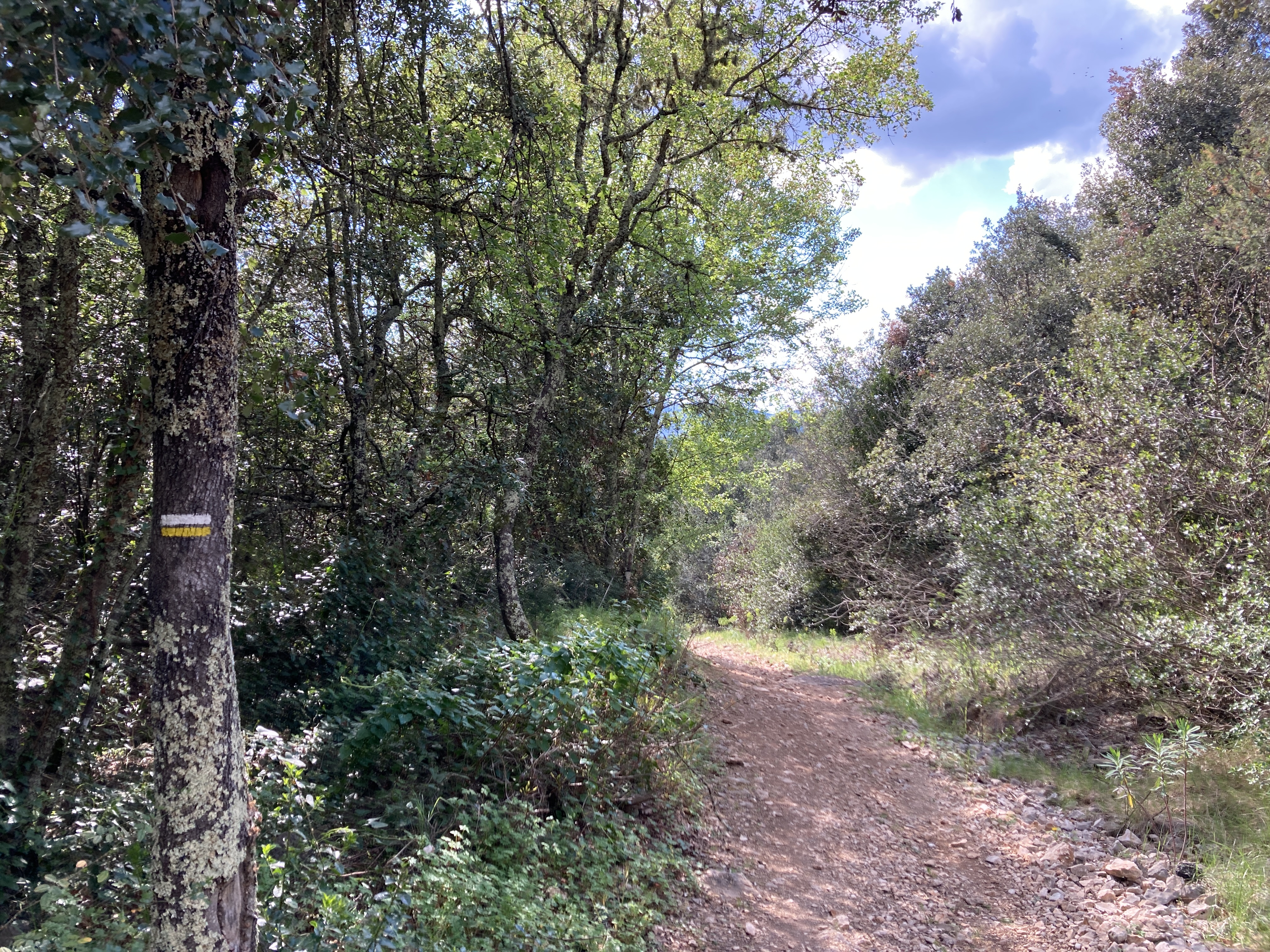 Sentier de randonnée