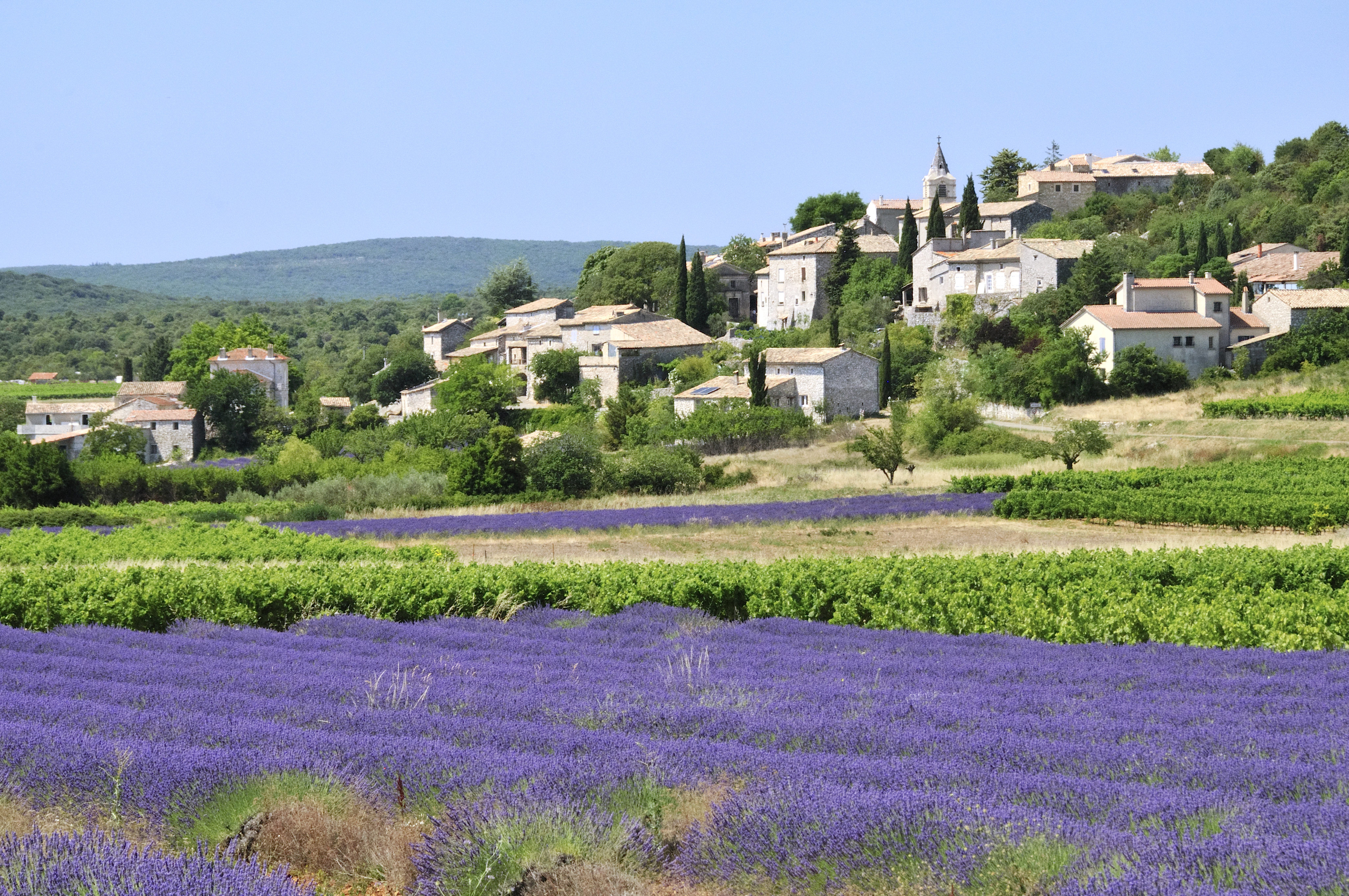 Vue vers Bidon et les lavandes depuis la doline