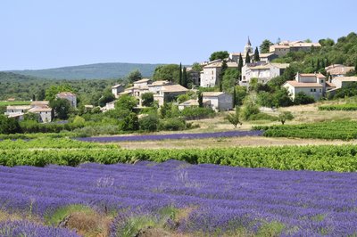 Vue vers Bidon et les lavandes depuis la doline