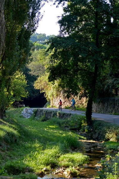 Le long de l'Ellieux