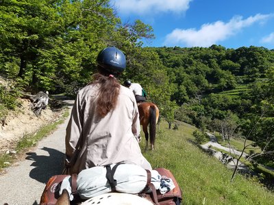 route des Auches et chataigneraies